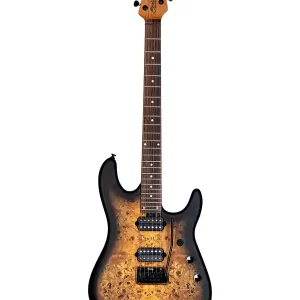 STERLING RICHARDON6-NPB "JASON RICHARDSON" GUITARE ELEC POLAR BURST Must-Have