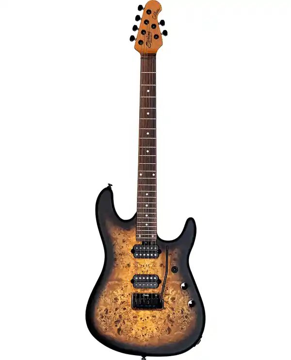 STERLING RICHARDON6-NPB "JASON RICHARDSON" GUITARE ELEC POLAR BURST Must-Have