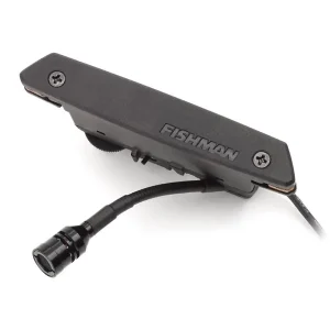 Nouvel Arrivage FISHMAN PRO-REP-102 "RARE EARTH" MICRO ROSACE DOUBLE BOBINAGE