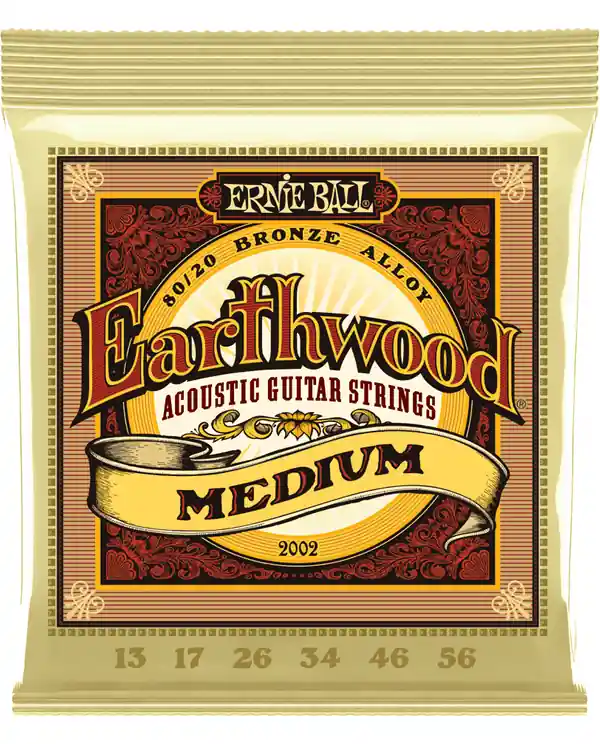 ERNIE BALL 2002 EARTHWOOD 80/20 BRONZE MEDIUM JEU FOLK 13-56 Haute Qualité