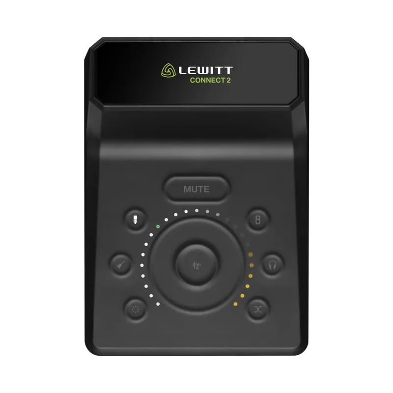 Affaire À Saisir Lewitt CONNECT 2 USB-C Audio Interface