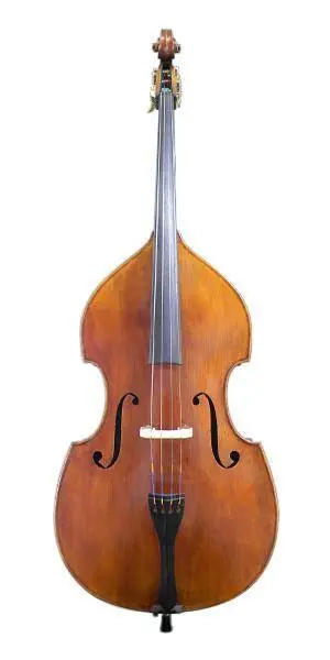 Samuel Shen 3/4 Flatback Willow Bass Meilleur Choix