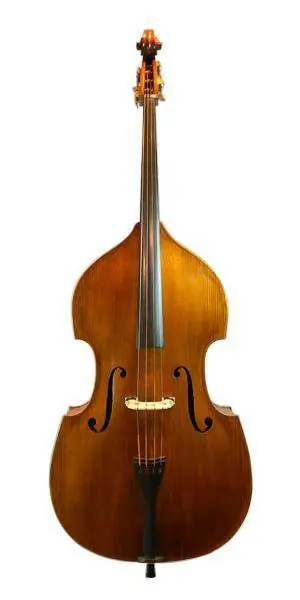 Petit Prix Samuel Shen Gemunder 7/8 Willow Bass