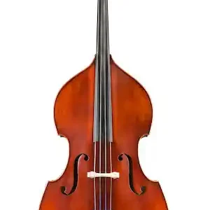 Eastman Strings VB95 Bass Outfit with Quenoil Pattern - 3/4 Nouvel Arrivage
