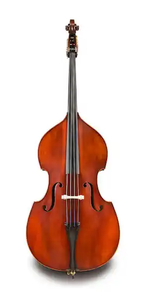 Eastman Strings VB95 Bass Outfit with Quenoil Pattern - 3/4 Nouvel Arrivage