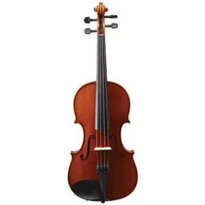Eastman Strings VA80ST Viola Outfit - 16.5‘‘ Haute Qualité