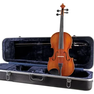 Bon Marché Eastman Strings VA100ST Viola Outfit - 15‘‘