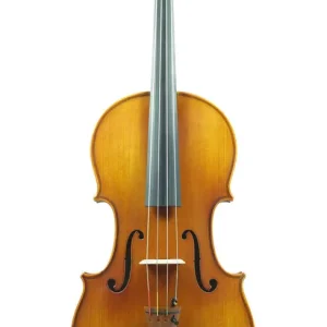 Eastman Strings VA200 Viola Outfit 13‘‘ Super Prix