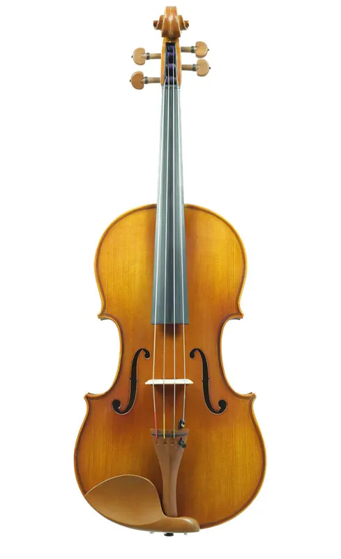 Eastman Strings VA200 Viola Outfit 13‘‘ Super Prix