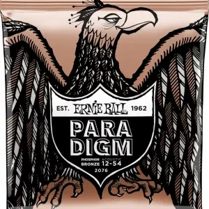 ERNIE BALL 2076 PARADIGM SLINKY JEU GUITARE ELECTRIQUE 09-42 Commander Maintenant