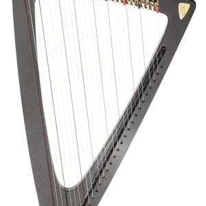 Salvi Harps Delta C Electric Harp with Carbon Fiber Body Vente Flash