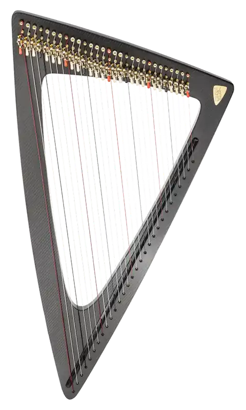 Salvi Harps Delta C Electric Harp with Carbon Fiber Body Vente Flash