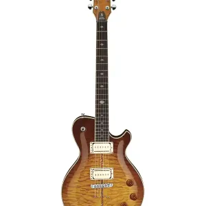 MICHAEL KELLY PATRIOT DECREE MODSHOP GUITARE ELECTRIQUE SCORCHED Solde