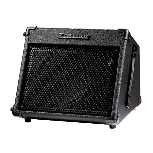 Traynor Travelmate 15 Watt Battery Amp Produit De Marque