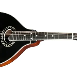 Achetez Aujourd'hui Eastman Guitars A Style Spruce/Maple Mandolin with Case - Black