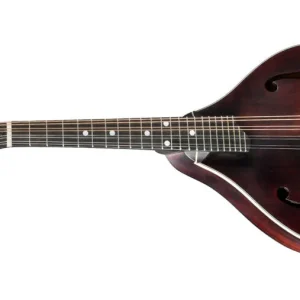 Bon Marché Eastman Guitars MD305 A-Style Mandolin, Solid Spruce Top with Gigbag - Left Handed