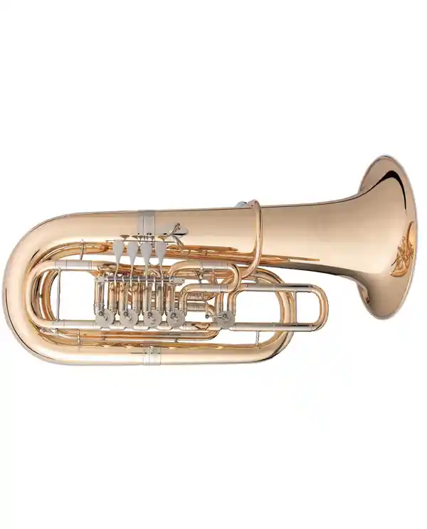 Dernière Chance B&S PT-10 TUBA FA 5 PALETTES VERNI avec housse