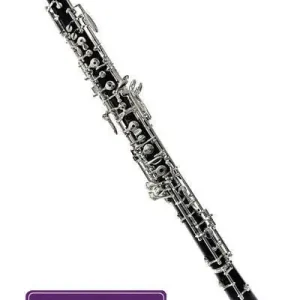 Authentique F. Loree C+3 Grenadilla Oboe - w/Case & Cover