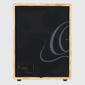 ORTEGA CONE-ASH AMPLI ACOUSTIQUE 100W 2 CANAUX REV/CHORUS FRENE Expédié Aujourd'hui