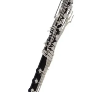 Buffet Crampon Tosca Professional Bb Bass Clarinet w/Low C Affaire À Saisir