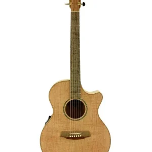 Achat Immédiat COLE CLARK AN2EC-SSO "ANGEL 2" GUITARE FOLK ELECTRO + étui