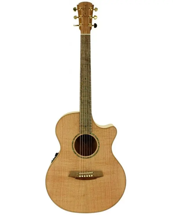 Achat Immédiat COLE CLARK AN2EC-SSO "ANGEL 2" GUITARE FOLK ELECTRO + étui