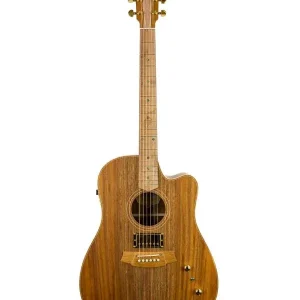 Meilleur Choix COLE CLARK FL2EC-BLBL-HU "FAT LADY 2" GUITARE FOLK ELECTRO + étui