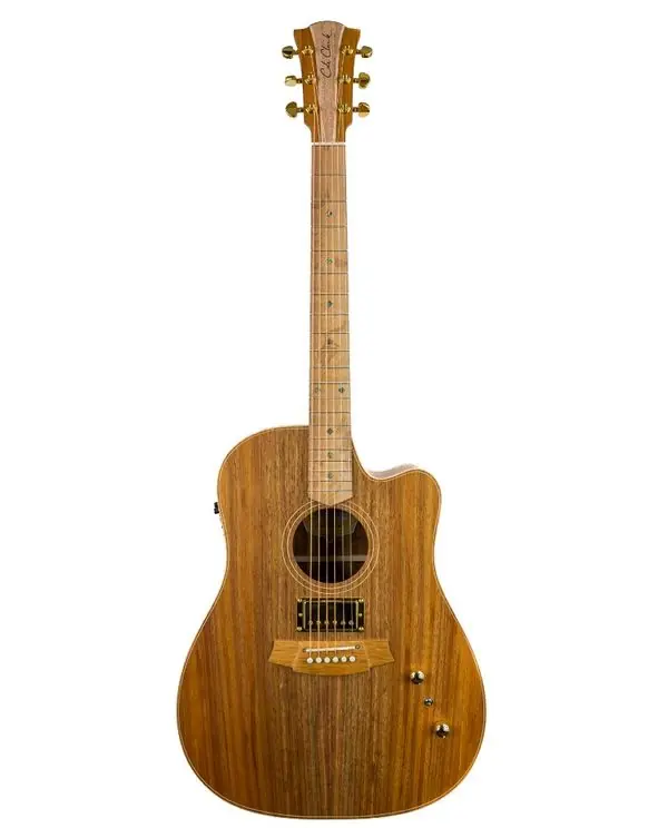 Meilleur Choix COLE CLARK FL2EC-BLBL-HU "FAT LADY 2" GUITARE FOLK ELECTRO + étui