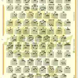 Ducks Deluxe The Practical Guitar Chord and Fretboard Chart Prix Bas