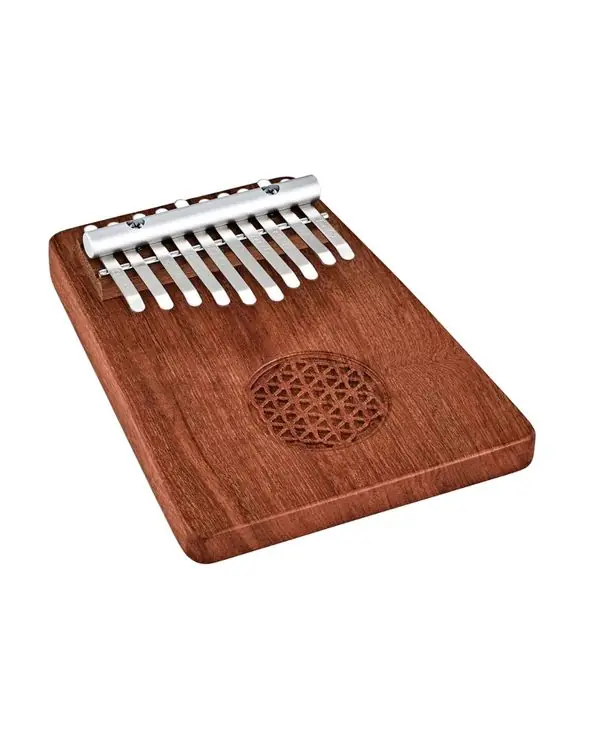 MEINL SONIC ENERGY KL1002FOL KALIMBA 10 NOTES DO MAJEUR Produit De Marque