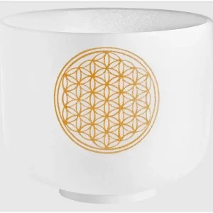 MEINL SONIC ENERGY CSB8FOL SINGING BOWL CRISTAL 8" Commande En Gros