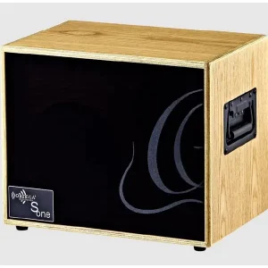 Populaire ORTEGA CONE-WND AMPLI ACOUSTIQUE 100W 2 CANAUX REV/CHORUS NOYER