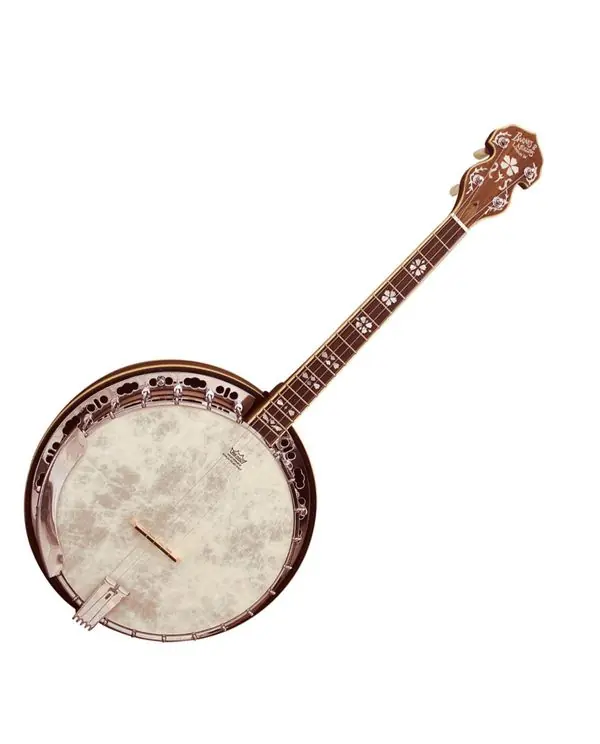 Prix Bas BARNES & MULLINS BJ504BWGT "IRISH GAELIC EMPRESS" BANJO 4 CORDES