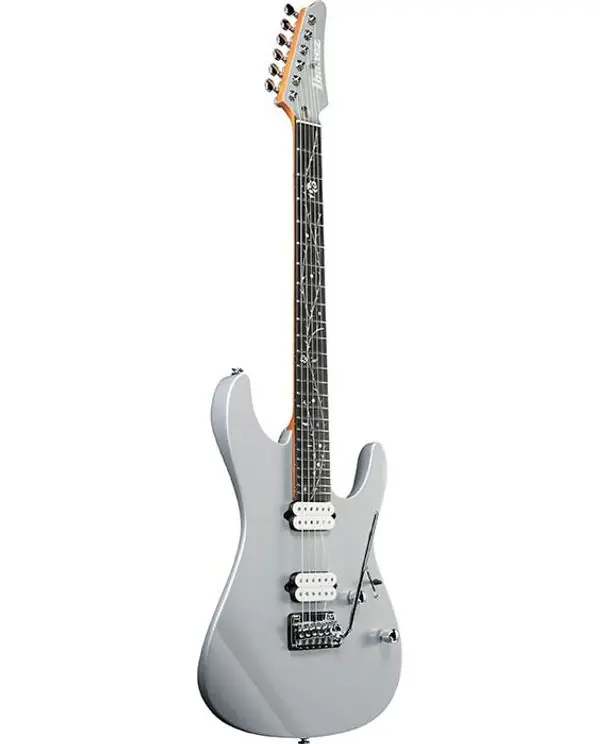 Commander Maintenant IBANEZ TOD10 "TIM HENSON" GUITARE ELECTRIQUE SILVER