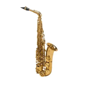 Authentique SELMER SIGNATURE SAXOPHONE ALTO VERNI GRAVÉ avec étui et bec