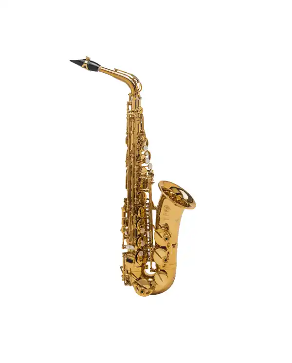 Authentique SELMER SIGNATURE SAXOPHONE ALTO VERNI GRAVÉ avec étui et bec