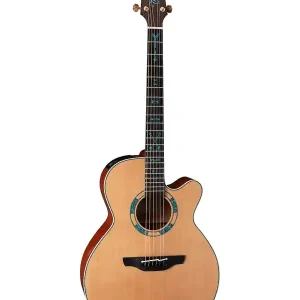 TAKAMINE LTD2023 "SANTA FE 30th ANNIV." GUITARE FOLK ELECTRO + housse Nouvelle Collection