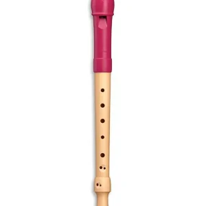 MOLLENHAUER 17412 FIPPLE FLUTE SOPRANO ERABLE/TETE SYNTHETIQUE ROSE Prix Bas