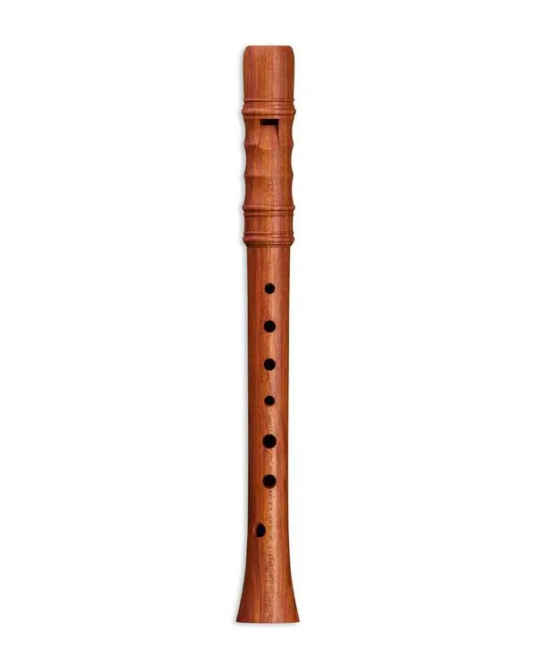 MOLLENHAUER KYNSEKER 4008 FLUTE RENAISSANCE SOPRANINO PRUNIER TEINTÉ Must-Have