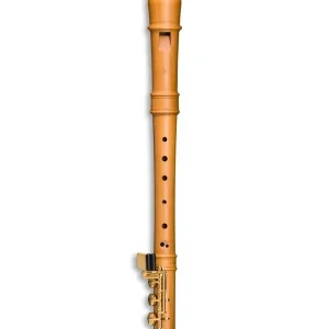 MOLLENHAUER MODERNE 5916H FLUTE A BEC SOPRANO POIRIER PATTE DE MI Prix Réduit