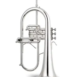 STOMVI TITAN COPPER BELL BUGLE ARGENTE avec étui et embouchure Affaire À Saisir