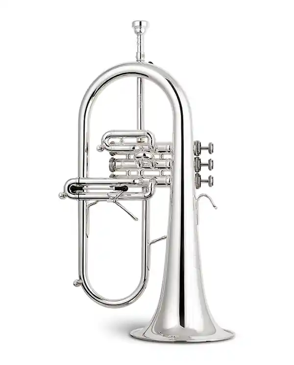 STOMVI TITAN COPPER BELL BUGLE ARGENTE avec étui et embouchure Affaire À Saisir