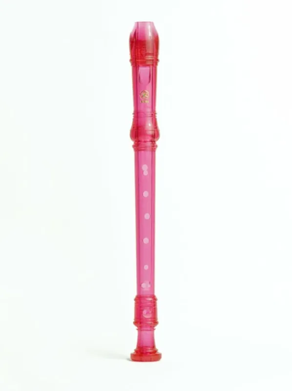 YAMAHA flute à bec YRS-20GP Vente Directe