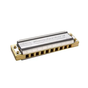 Authentique HOHNER THUNDERBIRD HARMONICA 10 TROUS LOW F (Fa)