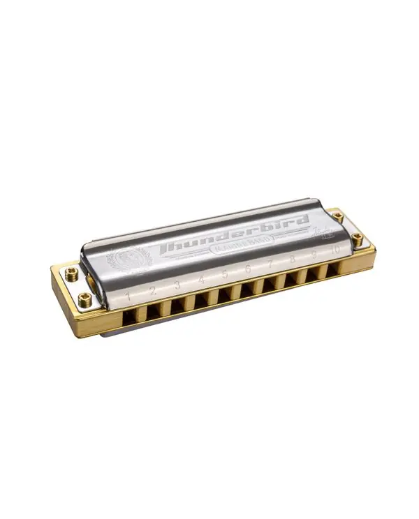 Authentique HOHNER THUNDERBIRD HARMONICA 10 TROUS LOW F (Fa)