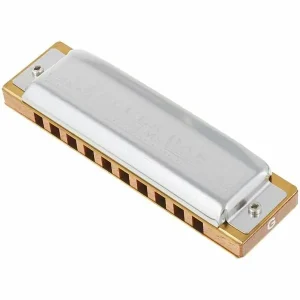 HOHNER MS BLUES HARP HARMONICA 10 TROUS Db Certifié