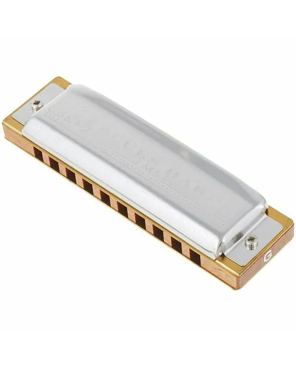 HOHNER MS BLUES HARP HARMONICA 10 TROUS Db Certifié