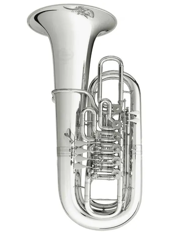 B&S 3100-L TUBA FA 4 + 2 PALETTES VERNI avec housse Achat Immédiat