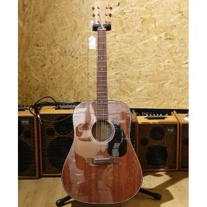Promotion Saisonnière CF MARTIN D19-190TH "190th ANNIVERSARY" GUITARE FOLK ACOUSTIQUE