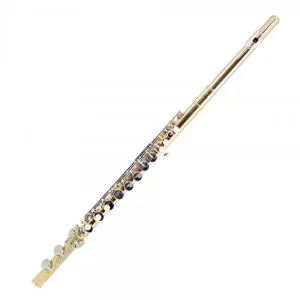Produit De Marque TREVOR JAMES 33233 FLUTE ALTO LAITON plaque et noyau argent avec étui